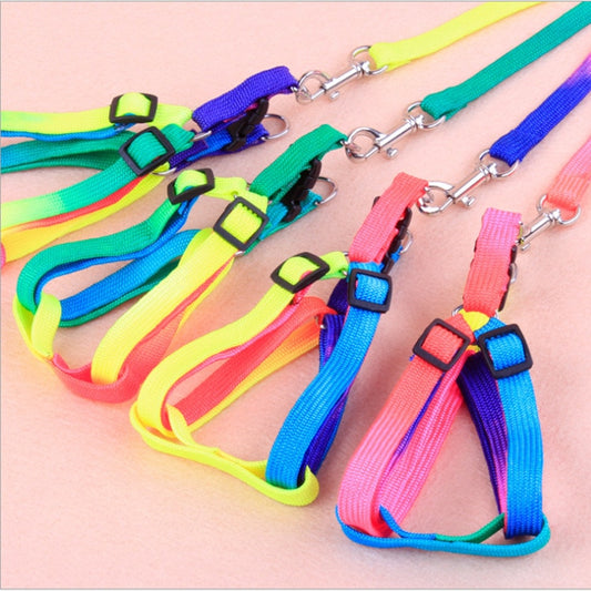New pet colorful leash dog rope Durable and advanced dog chest strap dog supplies dog strap dog leash leash dog chain
